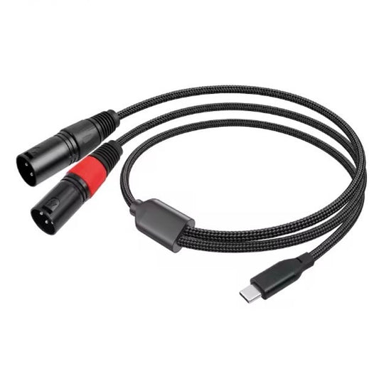 USB-C to Dual XLR