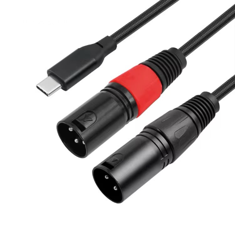 USB-C to Dual XLR